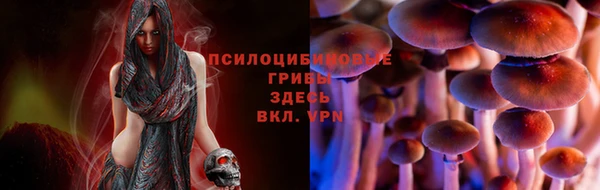 гидра Чита