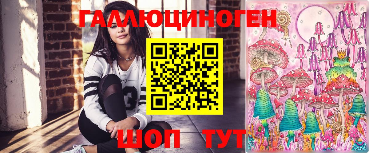 Павлово  Галлюциногенные грибы Psilocybine cubensis  Вход с VPN  Галлюциногенные грибы Psilocybine cubensis 
